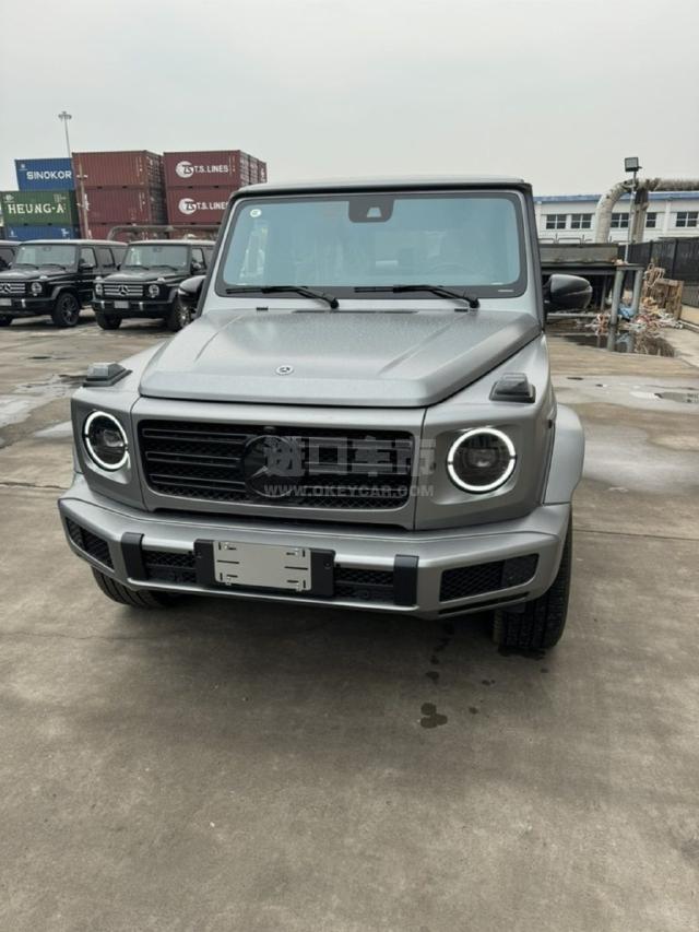 欧版2023款 奔驰g400d