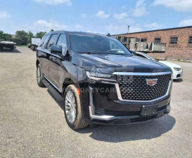 加版2024款 凯迪拉克凯雷德 3.0t 柴油 esv加长 四驱 luxury